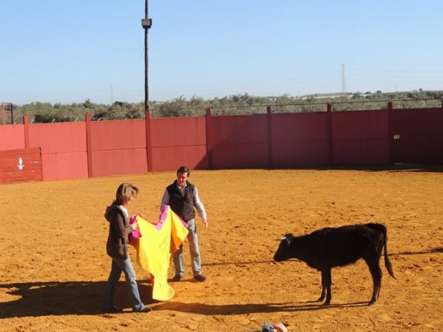  Corrida con la giovenca 